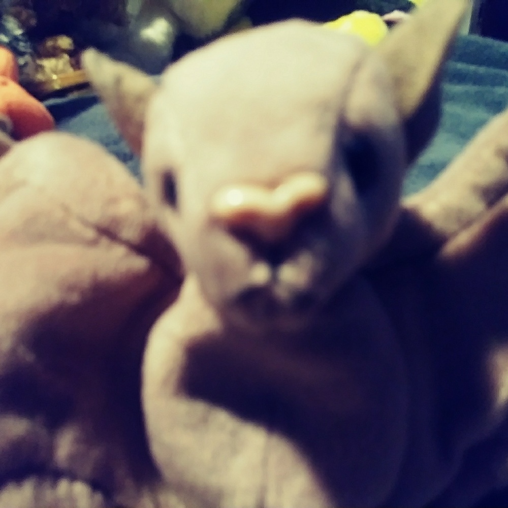 Vintage beanie baby Batty pink nose